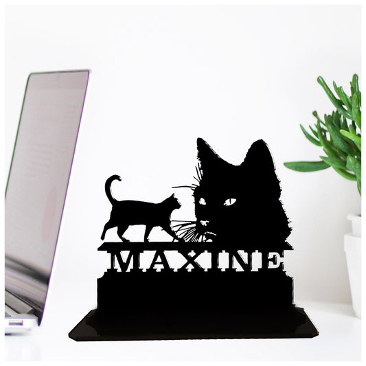 Acrylic personalized cat themed gift ideas for cat lovers. Standalone keepsake ornaments.