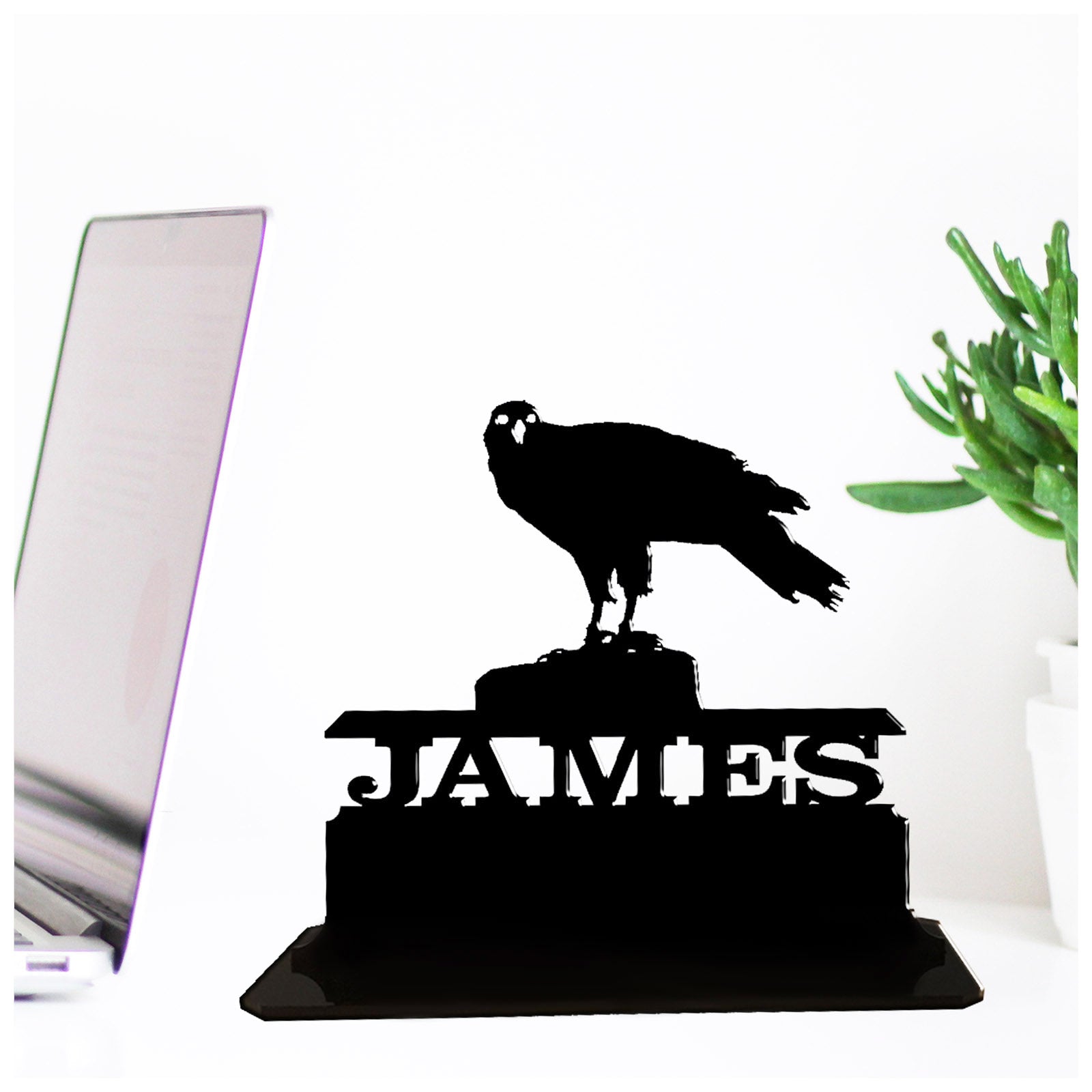 Acrylic personalized gift ideas for hawk lovers. Standalone keepsake ornaments.