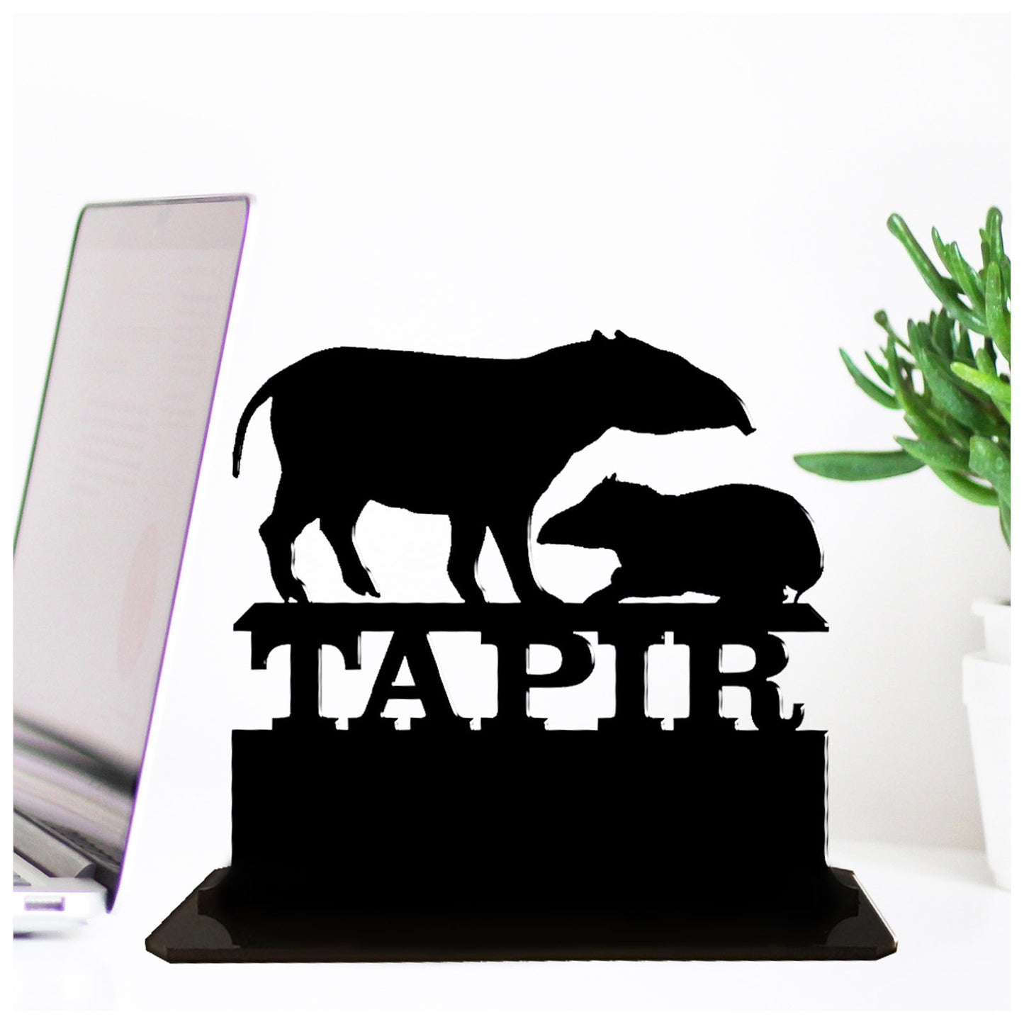 Acrylic personalized gift ideas for tapir lovers. Standalone keepsake ornaments.